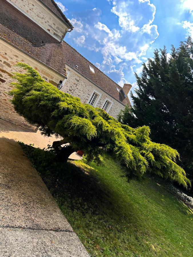 Le Domaine De Jade Apartment Chatillon-la-Borde Exterior photo